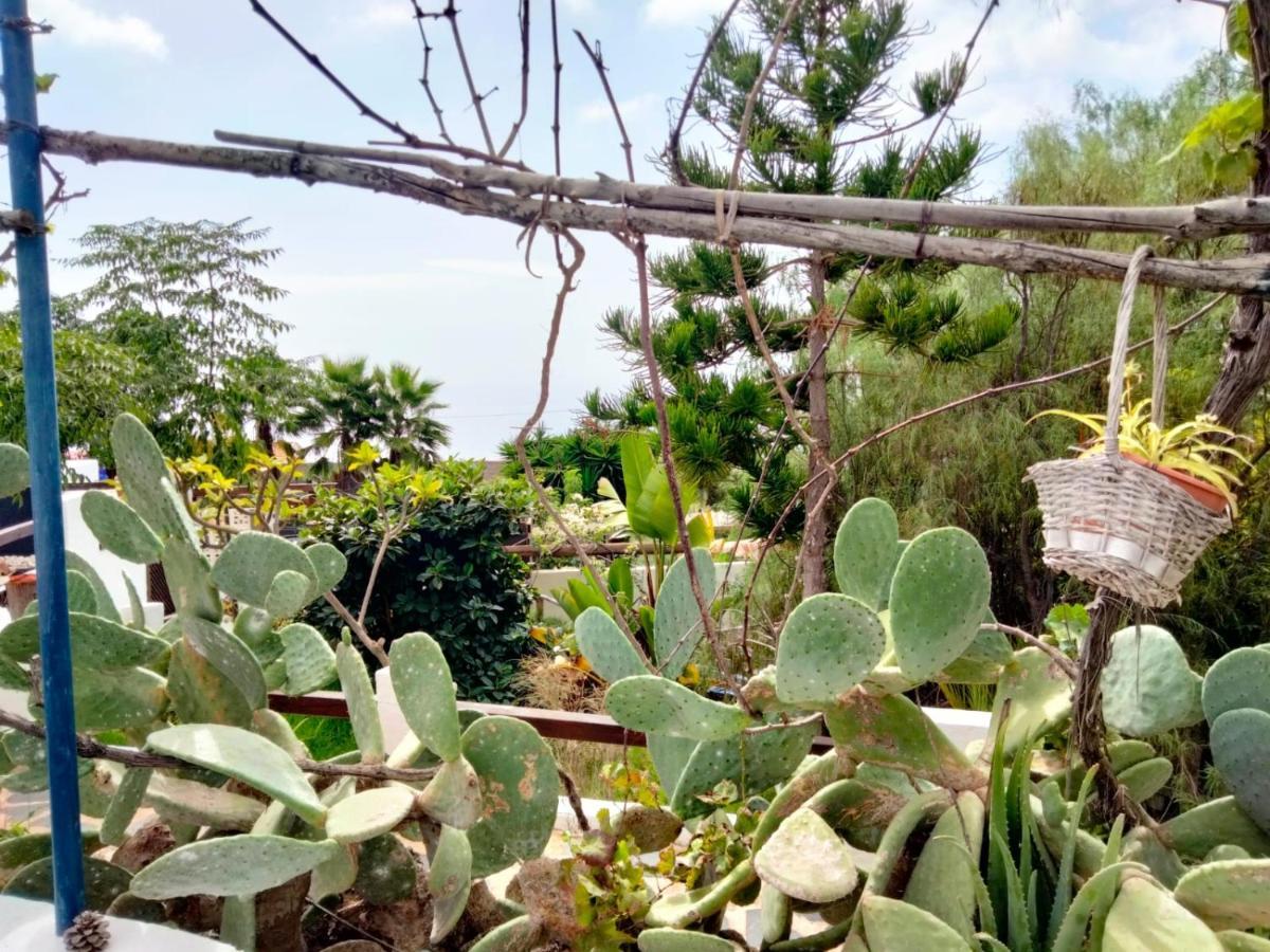 Casa De Campo Lomo Del Balo Guia de Isora  Ngoại thất bức ảnh